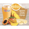 SMOOTHIES-SOLARE GR.150 PZ.15