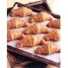 CROISSANT ALBERGHI VUOTO PZ.100