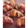 GRAN CROISSANT ALBICOCCA PREL. PZ.50
