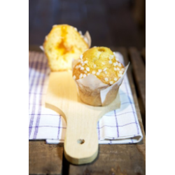APRICOT MUFFIN GR.95 PZ.15