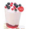 COPPA YOGURT FRUTTI BOSCO PZ.16