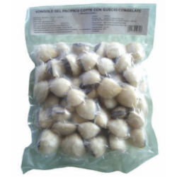 VONGOLE GUSCIO BR. 60/80...