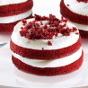 RED VELVET MONOPORZ. PZ.6