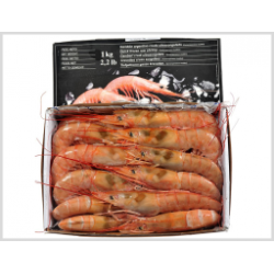 GAMB.INT.L1 BORDO RIAZOR...