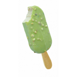 MAXI PINGUINO PISTACCHIO PZ.24