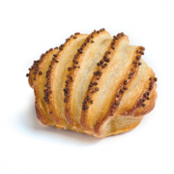 CONCHIGLIA CIOK GR.95 PZ.60