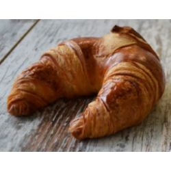 MINI TULIPANO PISTACCHIO...